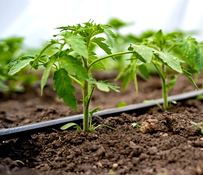 Irrigation Systems